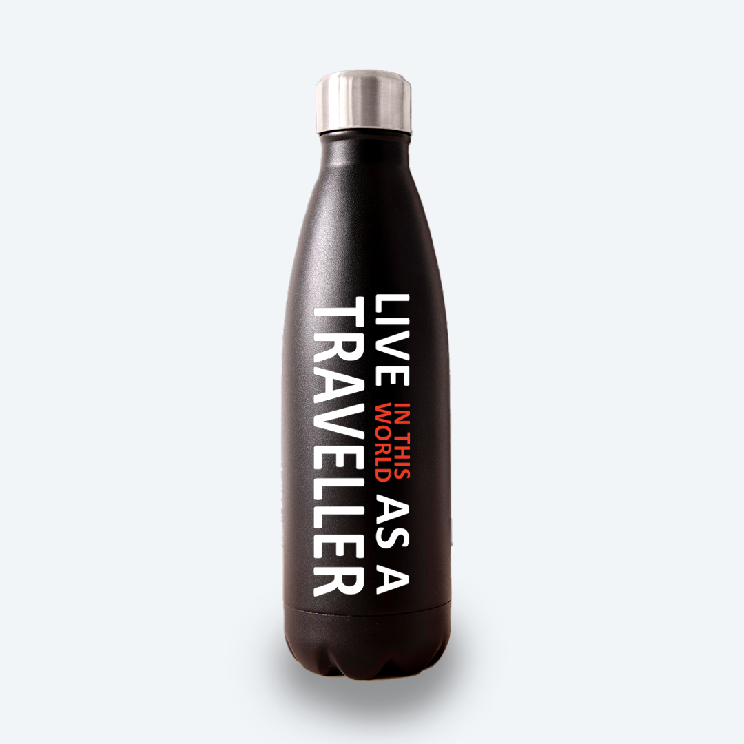 Stainless Steel Insulated Water Bottle