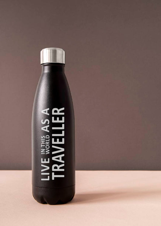 Stainless Steel Insulated Water Bottle